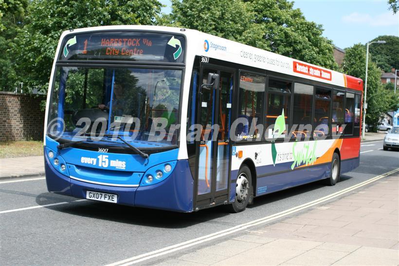 36017