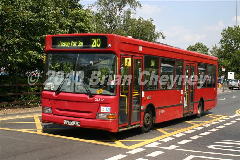 DLF36