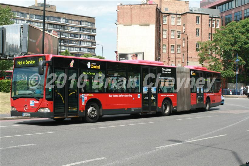 MAL81