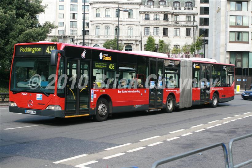 MAL43